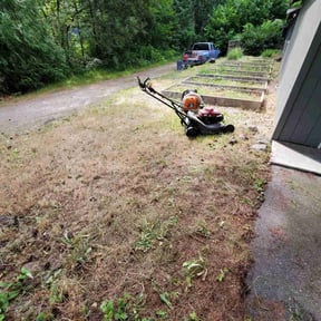 Cleanups by Top Dawg Lawn reviewed on July 11, 2022