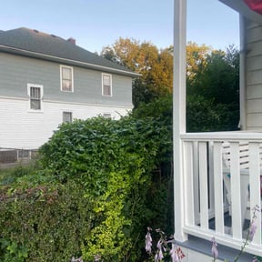 Bush Trimming by Pro Manage Solutions reviewed on September 30, 2024