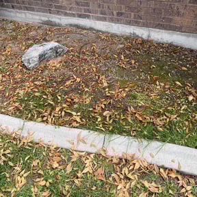 Flower Bed Weeding by Knox Vegas Lawn Service reviewed on May 14, 2022