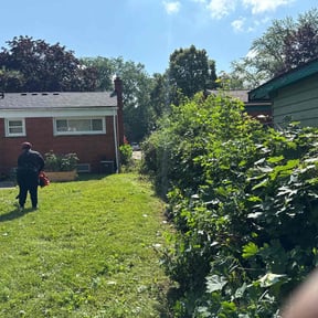 Bush Trimming by 12 Journey Lawn Care reviewed on May 26, 2025