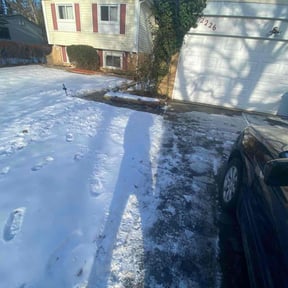 Bush Trimming by JDB Landscaping Services reviewed on August 23, 2024