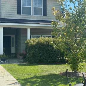 Bush Trimming by GT Luxury Lawn... reviewed on June 23, 2022