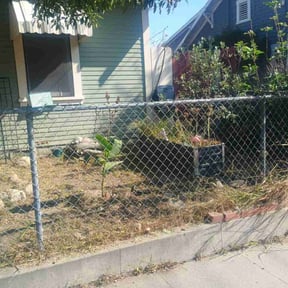 Flower Bed Weeding by Sbm reviewed on September 8, 2024