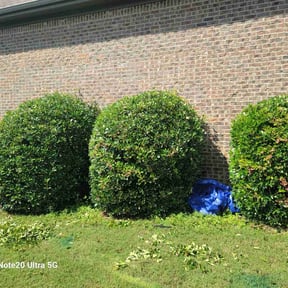 Bush Trimming by Countryside lawn and garden reviewed on April 11, 2025