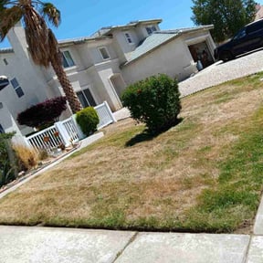 Bush Trimming by Moe Does Lawns reviewed on June 24, 2025