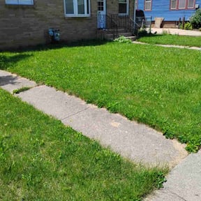Cleanups by Belleaire Lawn Care reviewed on July 8, 2022