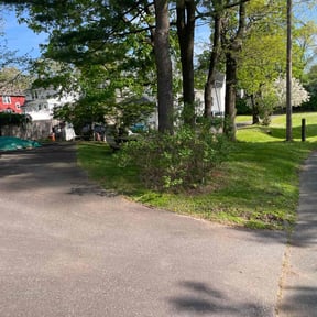 Cleanups by Ronnie Thacker reviewed on March 18, 2022