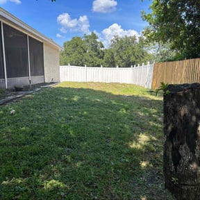 Weeding by LSLTDallas/FortWorthTruGreen reviewed on June 1, 2025