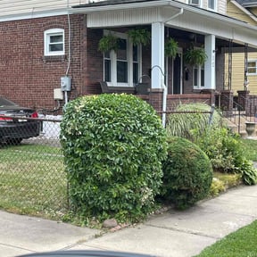 Bush Trimming by DPR Land and Hardscape Design reviewed on October 5, 2021