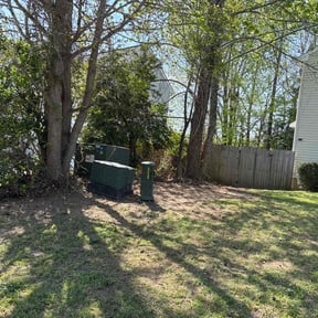 Leaf Removal by Royalty Lawn and Garden INC reviewed on July 13, 2025