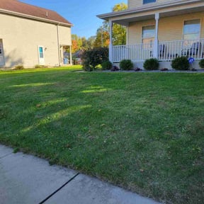 Leaf Removal by Efrain Marrero reviewed on June 20, 2022