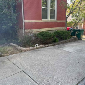 Bush Trimming by Webb's Lawn Art reviewed on October 27, 2022