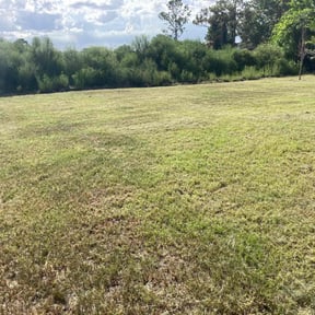 Cleanups by Lawn Life Mowing LLC reviewed on December 12, 2024
