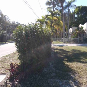 Bush Trimming by Hometeam Property Management reviewed on October 5, 2024