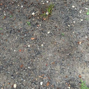Weeding by DT Lawn Care reviewed on June 24, 2022
