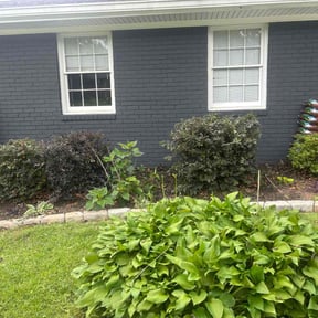 Bush Trimming by Jacobs lawn service reviewed on July 31, 2022