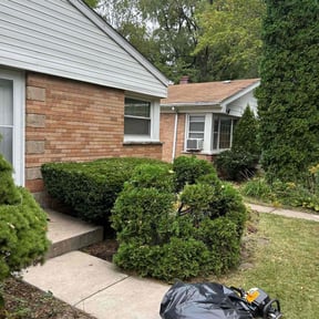 Bush Trimming by Ocampo landscaping reviewed on June 18, 2020