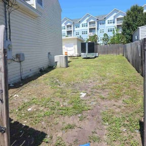 Cleanups by Bay Land & Trees Llc. reviewed on April 21, 2025