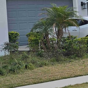 Bush Trimming by Cutting Edge Landscaping Professionals LLC reviewed on August 13, 2024