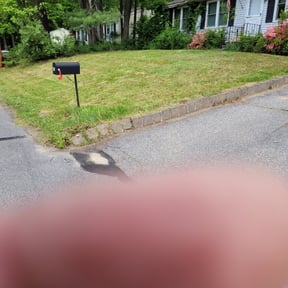 Leaf Removal by DeBerry Landscape LLC reviewed on July 29, 2022