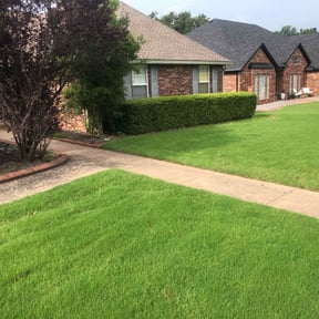 Bush Trimming by JAE TEAM Corporation reviewed on May 9, 2025