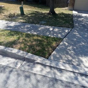 Leaf Removal by AJ's X-terior WorkZ reviewed on June 14, 2025