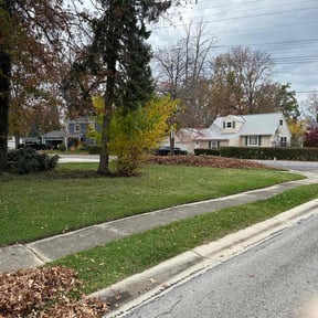 Leaf Removal by Pooh's Lawn Care & Home Improvements reviewed on July 26, 2022