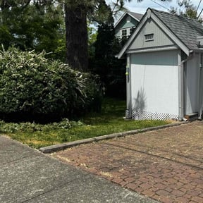 Bush Trimming by King of Lawn Care LLC reviewed on April 26, 2022