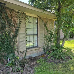 Bush Trimming by Boyd's lawn care reviewed on May 6, 2021