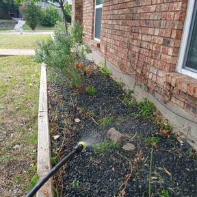 Flower Bed Weeding by MowZ By BroZ reviewed on July 23, 2021