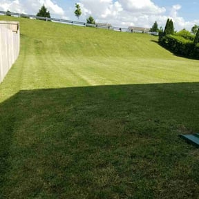 Bush Trimming by Emergency Lawn Care reviewed on June 30, 2019