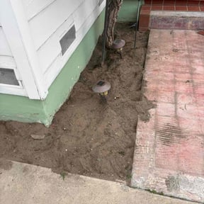 Flower Bed Weeding by Armando Partida reviewed on April 10, 2022