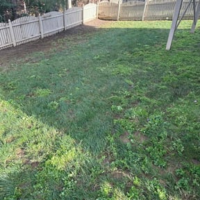 Leaf Removal by Js Lawn Care reviewed on August 2, 2022