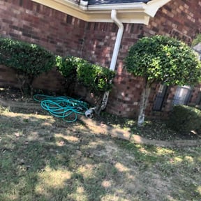 Bush Trimming by Tropilawn Landscaping reviewed on May 20, 2022