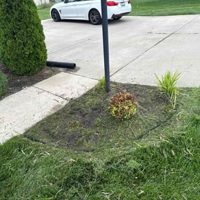 Flower Bed Weeding by Cracks n Corners lawn services reviewed on July 26, 2022