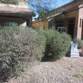 Bush Trimming by The Landscaping Man LLC  reviewed on April 29, 2022
