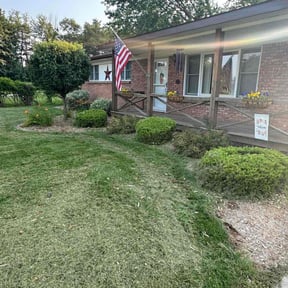 Bush Trimming by Maiocco's Lawn Care reviewed on July 24, 2022