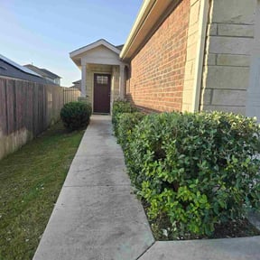 Bush Trimming by Guerrero's Lawn Service reviewed on November 16, 2021