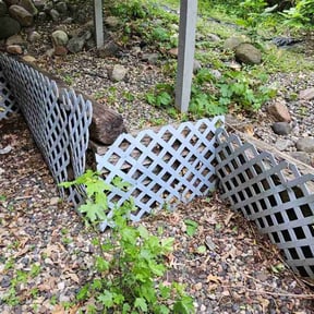 Leaf Removal by Midwest Ecoscapes reviewed on July 29, 2022