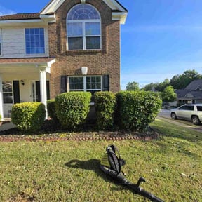 Bush Trimming by Clean Cuts Lawn Services reviewed on April 16, 2022
