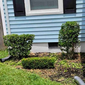 Bush Trimming by The Family Home & Lawn Care reviewed on May 27, 2022