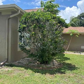 Bush Trimming by A Cut Above Lawn & Landscaping reviewed on April 24, 2025