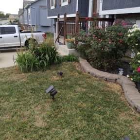 Flower Bed Weeding by The Lawn Cypress reviewed on December 5, 2024