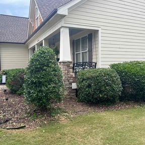 Bush Trimming by Quality Pro. Construction reviewed on June 15, 2022