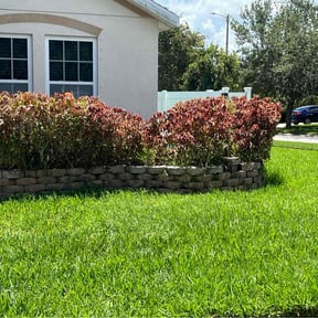 Bush Trimming by Chacon Lawn Care reviewed on May 22, 2022