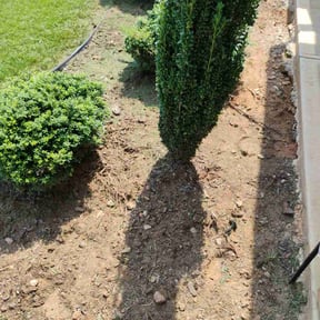 Flower Bed Weeding by Amelias Lawn Professionals reviewed on June 14, 2025