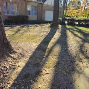 Leaf Removal by Top coat painting & home solutions llc reviewed on July 6, 2022