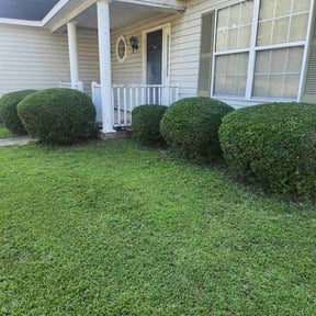 Bush Trimming by L&L Landscape Contractors LLC reviewed on August 5, 2022