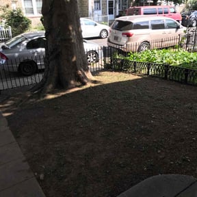 Cleanups by Ona Lawn Care reviewed on August 18, 2021