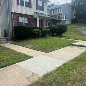 Bush Trimming by Greg's gardens reviewed on May 27, 2025